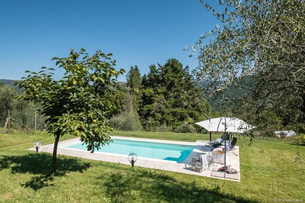 Alla Bella Aurora With Amazing Pool In Tuscany Λούκα Εξωτερικό φωτογραφία